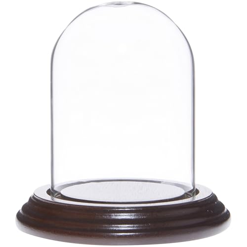 Plymor 2.5" x 3.5" Small Glass Display Dome Cloche (Dark Mahogany Veneer Base) - color: Dark Mahogany Veneer Base