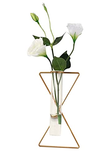 IvyMei Luxurious Nordic Gold Wall Vase Metal Frame Glass Tube - color: Gold 3