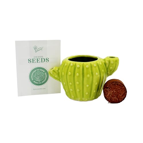 Buzzy Seeds Mini Cactus Grow Kit 4-Pack, Cactus-Shaped Ceramic Pots