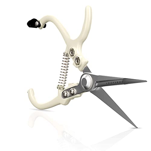 Precision Garden Trimming Scissors & Hand Pruner - Cream