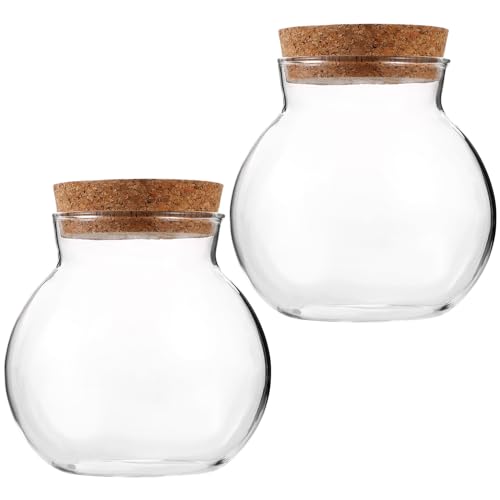 BESPORTBLE Glass Terrarium with Lid: Small Terrarium Jar with Lif, Small Terrarium Containers, Round Glass Jars with Cork - size: 11.00X10.00X10.00CM
