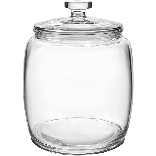 Daitouge 2.5 Gallon Glass Jars with Lids, Wide Opening Large Jar, 1 Pack | 6.7" Wide Mouth, Plus Handle Lid, Airtight Seal, Large Cookie Jars, Candy Jar, Kitchen Storage for Flour, Rice, Sugar, Pasta