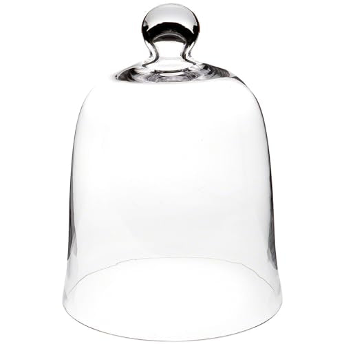 Plymor 8.5" x 11" Bell Jar Glass Display Dome Cloche (Interior Size 8.25" x 9.5") - size: 8.5" x 11"