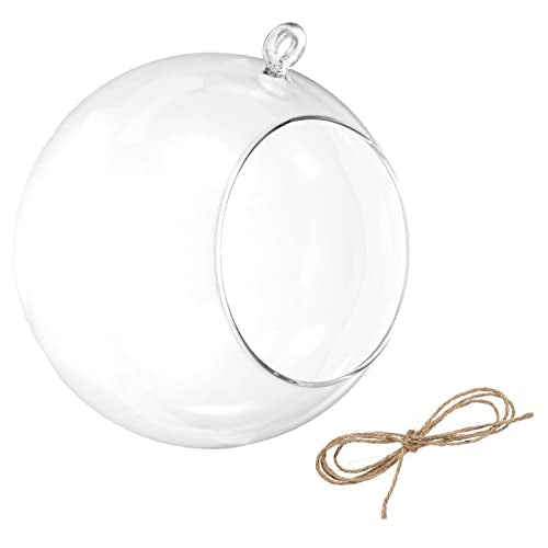 PATIKIL Round Globe Terrarium Air Plant Planter, 6.3 Inch Clear - size: 6.3 Inch
