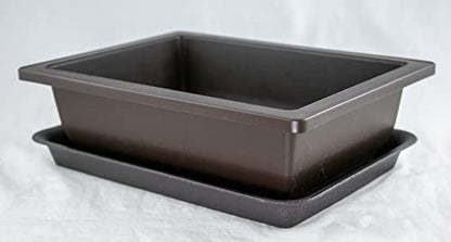 Rectangular Dark Brown Plastic Bonsai Training Pot, Cactus & Succulent Planter + Tray 10"x 7.5"x 3" (0409+0613)