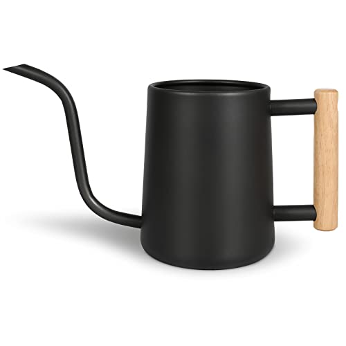Watering Can for Indoor Plants, 35 oz/1000 ml Metal Stainless Steel Pot with Long Spout for House Plants Bonsai Outdoor Garden Flower Decorative (Black) - color: Black