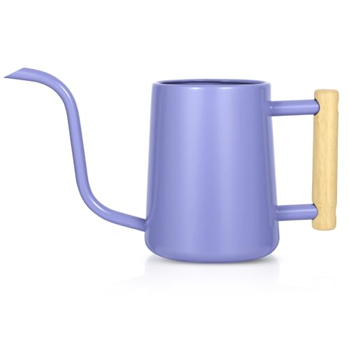 Watering Can Indoor Plants, 35 oz/1000 ml Metal Stainless Steel Watering Can Pot with Long Spout for Indoor House Plants Bonsai Outdoor Garden Flower Decorative (Purple) - color: Purple