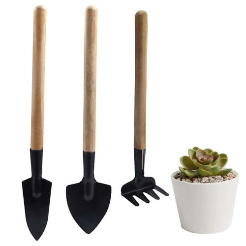 3 Pcs Mini Garden Tools Set, Iron Kit Including Miniature Gardening Rake Trowel and Shovel for Succulent/Bonsai & Pot Plants - style: 3Pcs