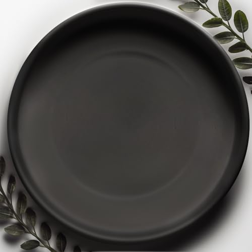 Heavy Duty Ceramic Plant Dish - with Silicone Feet for Added Surface Protection - Scratch-Resistant Plant Saucers, Pots 10.75" at the Base or Less, Flower Pot Saucers, Pebble Tray for Plant Humidity - color: Black, size: 12"