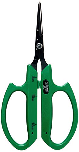 Shear Perfection Senshi Bonsai Scissor - 2 in Angled Non Stick Blades (12/Cs) (800414) - size: 2 Inch | Non-Stick Angled Blades, style: Scissors