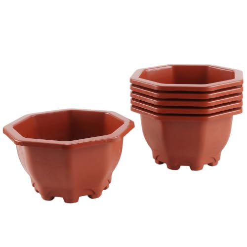 6 PCS Bonsai Pots,Octagon Built in Mesh Plastic Training Pots | Plant Flower Tree Growing Bonsai Planter for Garden Supplies, Yard, Office, Room, Balcony,8 Inch