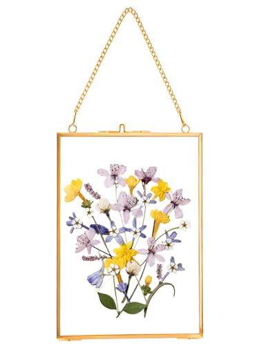 REDHUGO Hanging Pressed Flower Frames, Double Glass, Gold, 5x7 Inches - color: Gold, size: 5L" x 7W"