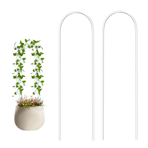 2 Pack U-Shaped Plant Trellis Indoor, Pothos Plant Climber Support
