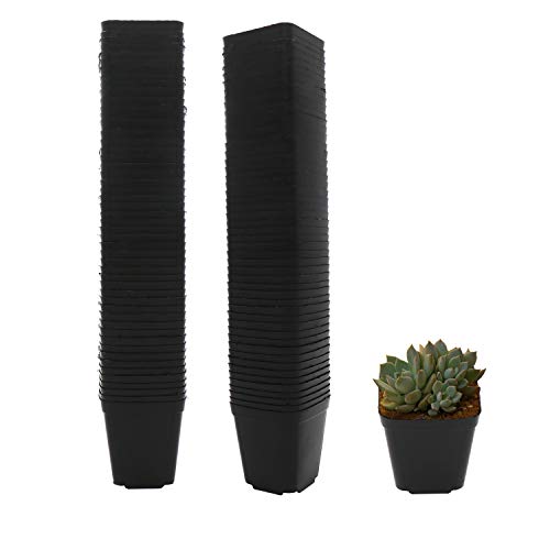 Plastic Plant Pots 100 Pack Square Nursery Pots 2.2 Inch Sturdy & Reusable Starter Container for Plants Starting Seedlings or Succulents, Black - size: 2.2 Inch