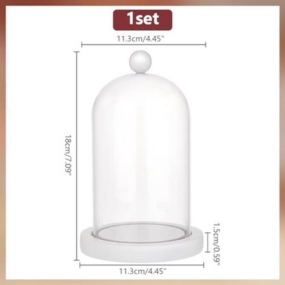 PH PandaHall Glass Dome with Base Cloche Cloche Bell Jar Display Dome Case Glass Decoration Bottles for Plants Flower Display Clay Succulents Storage Home Party Favor Decoration 3.5x7 inch