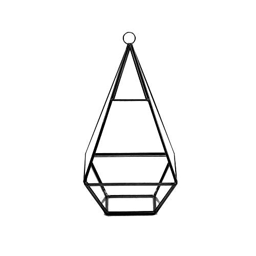WGV Hanging Geometric Planter Terrarium Width 5" Height 9.5" Clear Glass Black Frame DIY Succulent air Plant Miniature Fairy Garden Windowsill Decor Raised Tall Pyramid 1 Piece - color: Black, size: Narrow Geo-Pylon