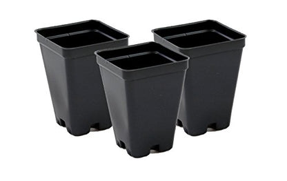 2.5 inch Square Greenhouse Pots - Black - Plastic - Deep - 25 Pack by Growers Solution