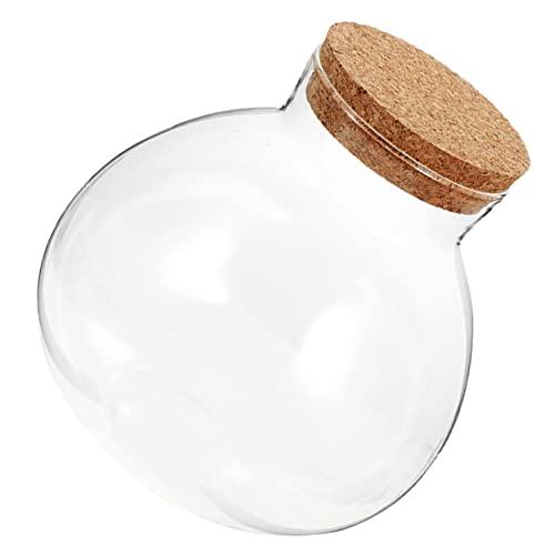 Glass Ecological Bottle Round Terrarium with Cork for Plants