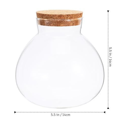 Toddmomy 1pcs Small Glass Plant Terrarium,Desktop Glass Succulent Plant Terrarium with Wooden Lid for Home, Garden, Office Decoration