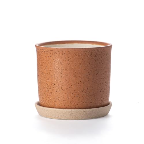 5.8 Inch Ceramic Plant Pot with Drainage Hole & Separate Saucer | Indoor/Outdoor Planter with Tray - Terracotta Flowerpot for Home & Office - color: Terracotta, size: 6 inch