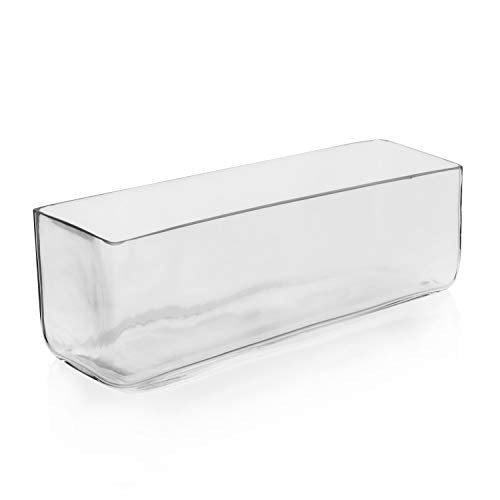 CYS Excel Glass Rectangle Vase (H:4" Open:12"x4") Oblong Flower Vase for Decorative Wedding Centerpiece Terrarium Planter Box Container - size: H:4" Open:12"x4"