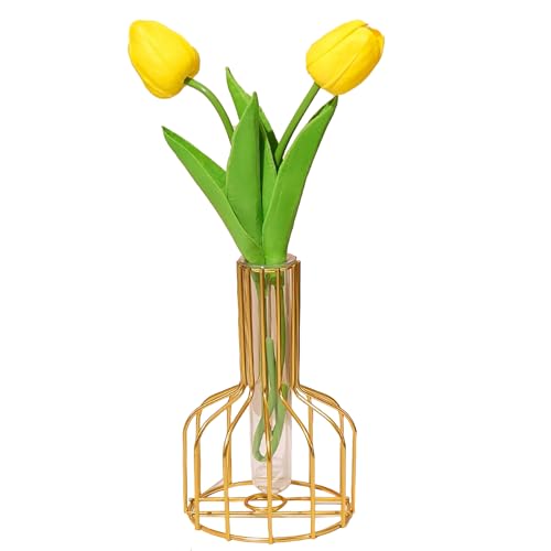 Metal Glass Plant Vase with Stand, Modern Decorative Glass Tube Planter for Tabletop, Home or Office Water Display Flower Vase