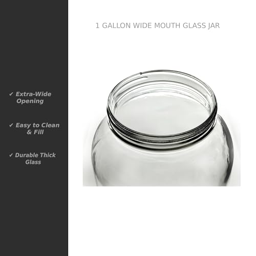 North Mountain Supply 1 Gallon Glass Jar Wide Mouth with Grommeted Black Plastic Lid, and 2-Piece Airlock - USDA, BPA-Free, Made in the USA - for Fermenting, Kombucha, and Much More! - Case of 2