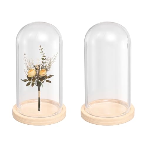 uxcell 2pcs Glass Display Dome 1.4"x2.5" Clear Cloche Glass Dome Bell Beige - color: Beige, size: 1.4x2.5"