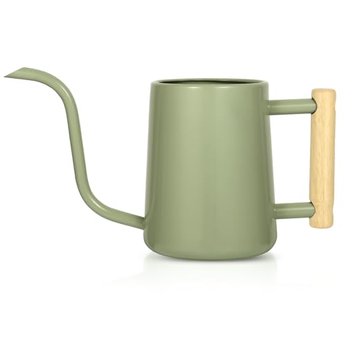 Watering Can Indoor Plants, 35 oz/1000 ml Metal Stainless Steel Watering Can Pot with Long Spout for Indoor House Plants Bonsai Outdoor Garden Flower Decorative (Sage Green) - color: Sage Green