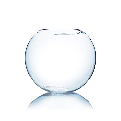 WGV Large Bowl Glass Vase, Diameter 14", Height 12", (Multiple Sizes Choices) Clear Huge Round Bubble Vase Jar, Floral Planter Terrarium for Wedding Event Home Decor, 1 Piece (VBW1412) - size: 14"D