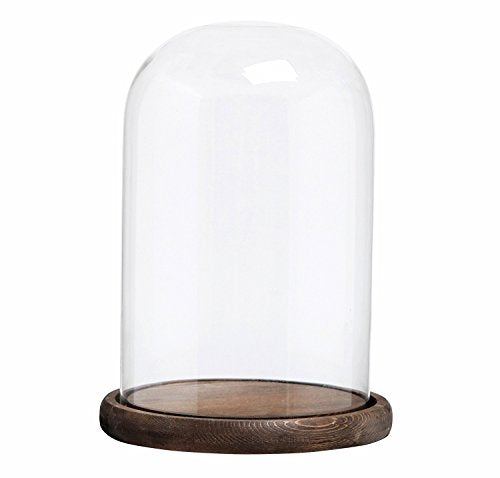 MyGift Glass Bell Jar Cloche Display Dome with Rustic Burnt Wood Base | 10 Inch Tall Decorative Glass Dome Jar Elegant Showcase Cover Display for Plants, Curios, Keepsakes, Heirlooms - color: Burnt Wood