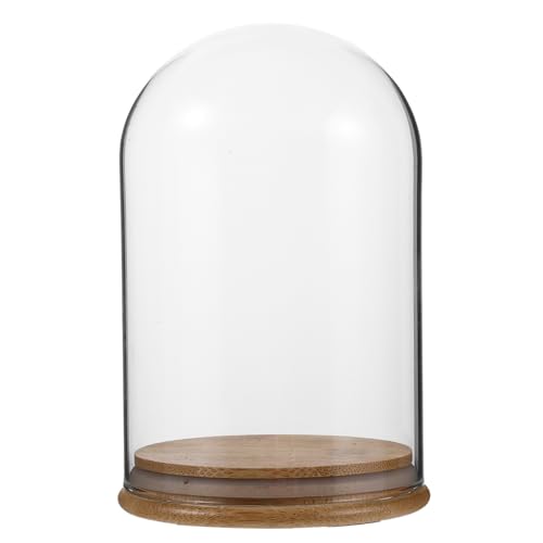 Glass Cloche Display Dome 6.69 X 4.72 X 4.72 in