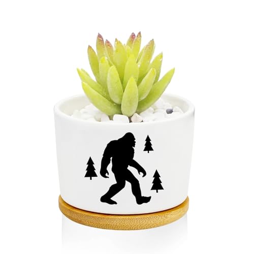 1Pcs Compatible with Bigfoot Planter Pots with Drainage, Tray, Ceramic Pot - style: Compatible with Bigfoot