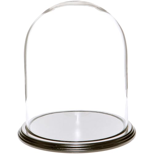 Plymor 8" x 10.25" Glass Display Dome Cloche (Black Wood Veneer Base) - color: Black Wood Veneer Base