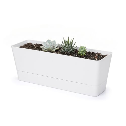 GREANER Herb Planter with Tray, 1 Pack 12x3.8 Inch Rectangle Window Box, Indoor Succulent Flowers Succulent Plastic Pot for Windowsill, Garden, Balcony, Office Outdoor Decoration - White - size: 1Pack/12x3.8in