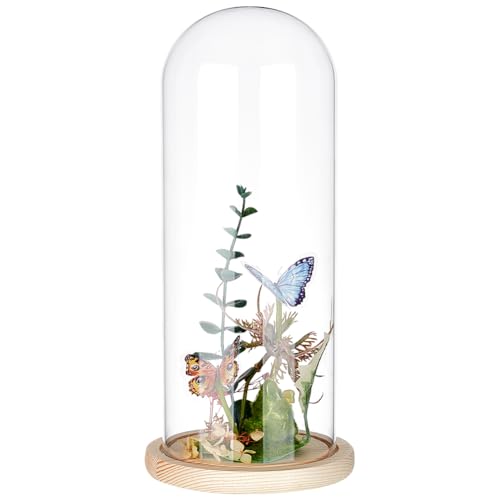 BENECREAT 4.6x12inch Eternal Transparent Flower Glass Cover, Glass Display Dome Cloche Jar with Blanched Almond Solid Wood Base for DIY Flower Craft - color: Blanched Almond