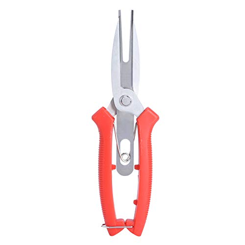 Stainless Steel Pruning Shears Plant Pruners for Small Branches, Flowers, Fruit Trees Long Straight Pointed Double Scissors Locking Device Suitable for Pear Trees