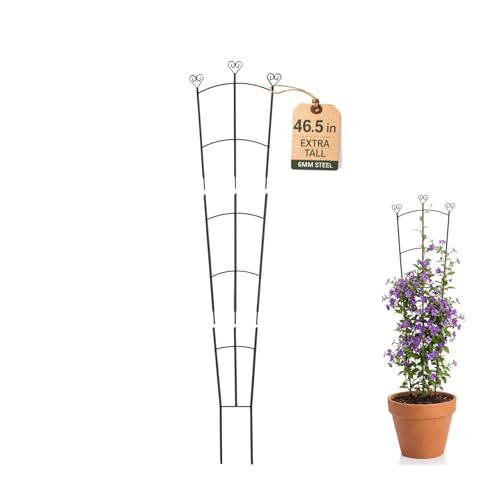 46 Inch Tall Plant Trellis for Climbing Plants Indoor, Metal Rustproof Garden Trellis for Large Potted Plants Outdoor, Houseplant Support for Pothos, Monstera, Hoya, Flower, Vine, Ivy, Black, 1 Pack - size: 1 Pack/46in