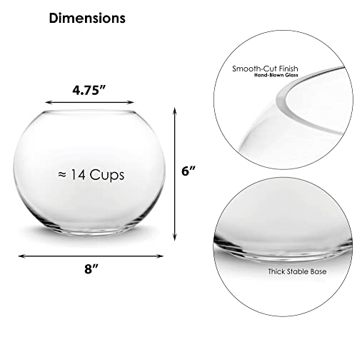 CYS EXCEL Glass Bubble Bowl (H-6" W-8", Approx. 3/4 Gal.) Small Fish Bowl Round Terrarium Vase Globe Flower Centerpiece for Weddings Events Arrangements - size: H-6" W-8"