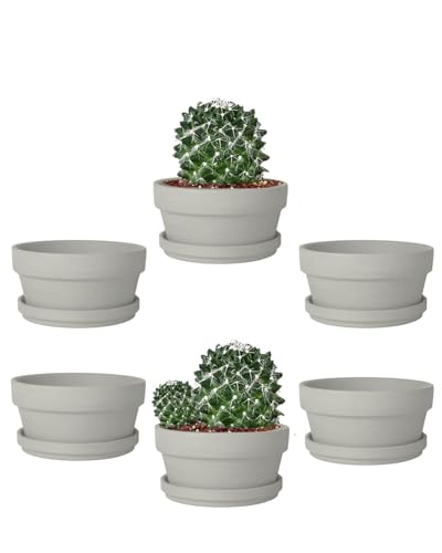 vensovo 5.7 Inch Grey Terracotta Succulent Pots with Saucers, 6 Pack - color: Gray, size: 5.7 Inch