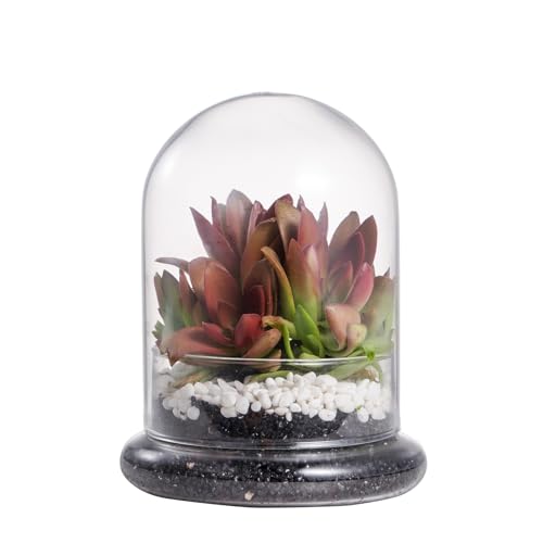 NCYP Small Glass Terrarium Cloche with Air Hole, 4.7 x 4.7 x 6.3 Inches - size: 4.7x4.7x6.3inches