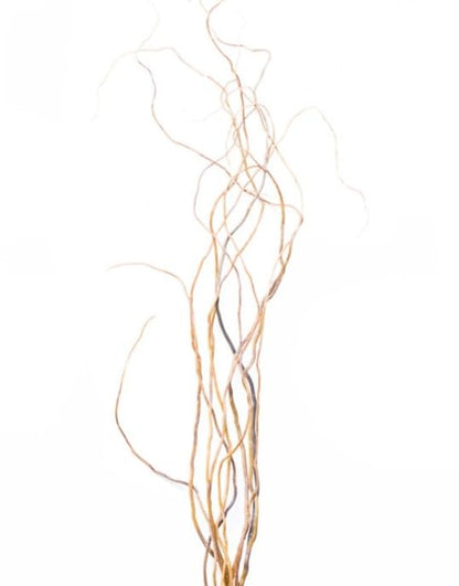 Richland Natural Curly Willow Branches 3'-4' Bundle Set of 6 - color: Brown, size: 4'' (Set 6)