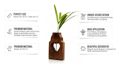 Wooden Plant Propagation Station Stand with Single Glass Test Tube Indoor Desktop Terrarium for Hydroponics Water Plant Cutting Flower Vase Planter Home Office Garden Decor Plant Lover Gifts, Brown
