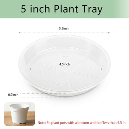 6Pack Plant Saucer, 3 5 7 9 11 13 15 17 19 21 in Plastic Plant Tray | Heavy Duty Plant Drip Trays, Clear Plastic Flower Pot Saucers, Plant Water Catcher Tray for Indoor Outdoor Planters (5 Inch) - size: 5 Inch