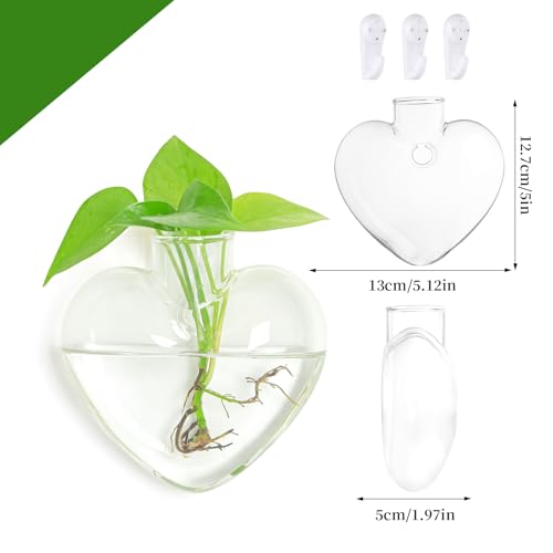XXXFLOWER Propagation Wall Hanging Vases Planters, 2 Pack Love Water Vases | Planters Propagation Station, Wall Hanging Plant Holder Air Plant Terrariums for Hydroponic Plants, Home Office Decor Gifts - size: 2 Love Wall Hanging