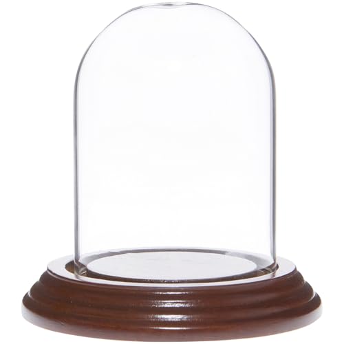 Plymor 2.5" x 3.5" Small Glass Display Dome Cloche (Walnut Veneer Base) - color: Walnut Veneer Base