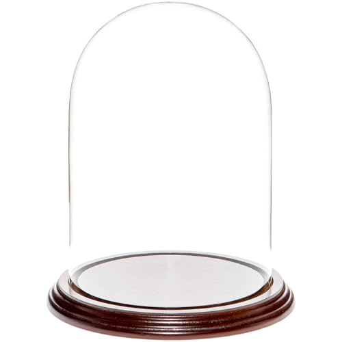 Plymor 5.5" x 8" Glass Display Dome Cloche (Dark Mahogany Veneer Base) - color: Dark Mahogany Veneer Base