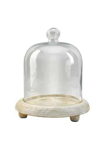 Serene Spaces Living Curio Glass Dome with Natural Wooden Base, Airplants, Flower Blooms, Accessories, Photos, Candles, Dessert Display, Home, Office Decor, Gift Idea - 8" Diameter & 9.25" Tall - color: Large, Single