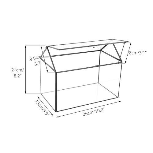 NCYP Glass Terrarium - Mini House Shape Terrarium with Lid, and House Shape Terrarium with Acrylic Lid, for Small Succulent Cacti, Ferns, Home Garden Decor
