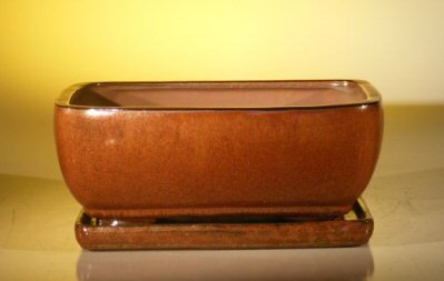 Aztec Orange Ceramic Bonsai Pot - Rectangle Professional Series with Attached Humidity/Drip Tray 10.5 x 8.0 x 4.5
